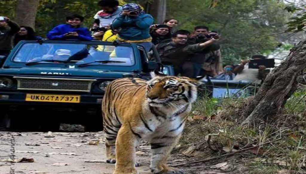 Jim Corbett National Park