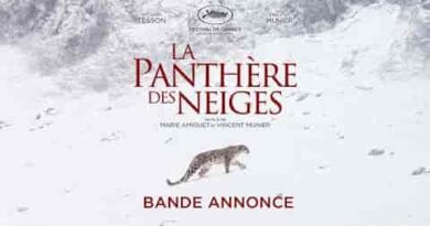 La Panthère Des Neiges Wiki, Cast, Story, Release Date - The Velvet Queen