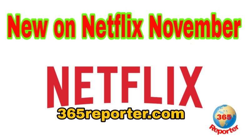 New on Netflix November This Month