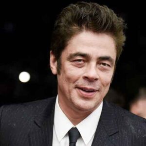Actor Benicio Del Toro to star as Nichols in Reptile Movie 2023 on Netflix