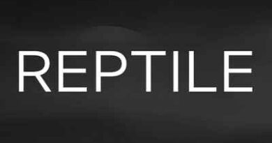 Reptile (Netflix Movie) Cast, Story, Trailer, Release Date, Review